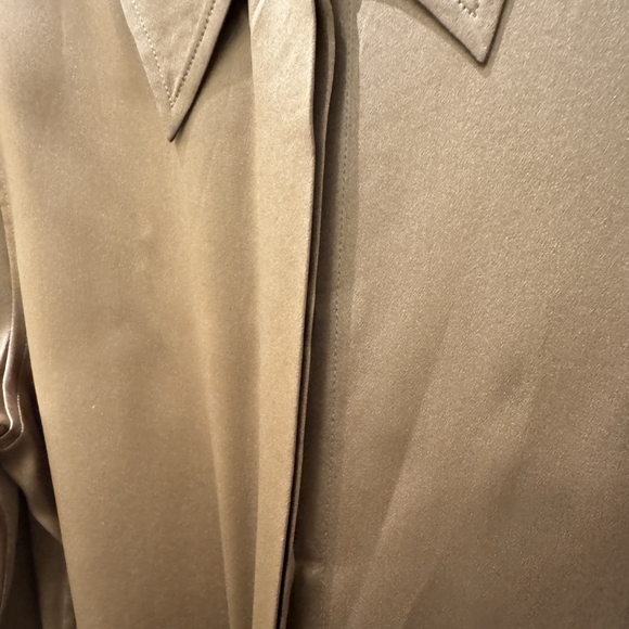 Reiss Ameira Silk-Satin Concealed-Placket Shirt - Picture 12 of 13